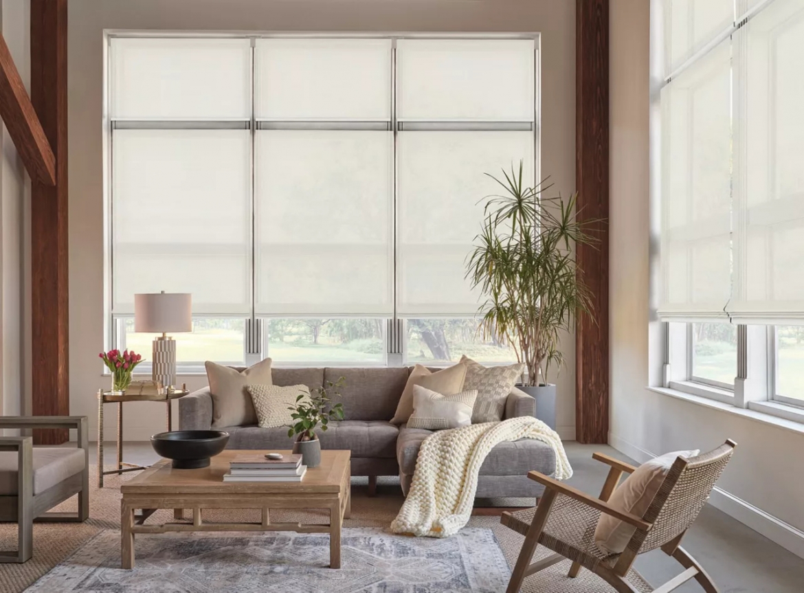 Living room with shades